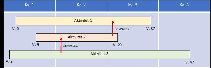 Aktiviteterna i handlingsplanen kan beskrivas grafiskt exempelvis i form av ett Gantt-schema.